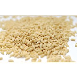 koyludeneriste_33a1797f328438e40ffeb6c3e69fb737 ARPA ŞEHRİYE (SADE) - 350GR - Görsel 1